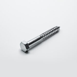 Pak Probo Houtdraadbouten RVS 10X40 (50)